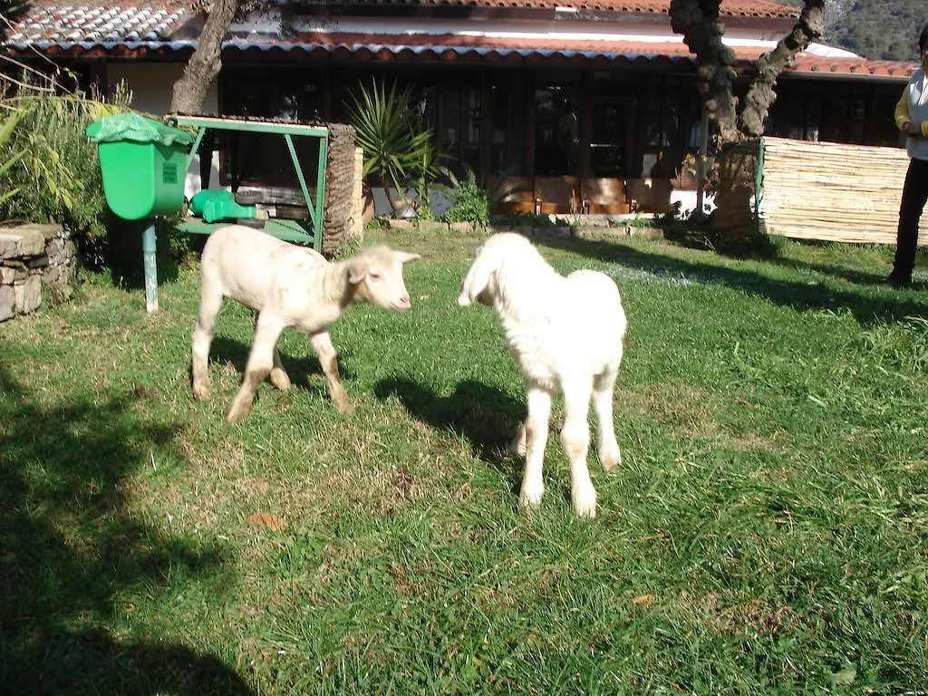 Séjour à la ferme Villa Agriturismo La Vecchia Dolceacqua